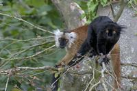 Cjp_2011_08_02_132326 (1).jpg